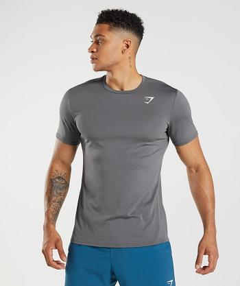 Gymshark Arrival T Shirts Herr Grå | SE 3801LIS